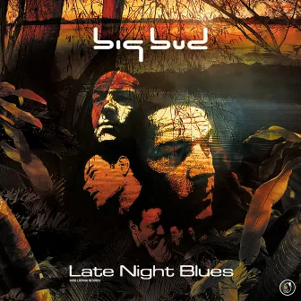 Late Night Blues by Big Bud