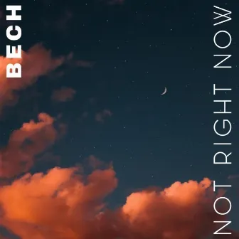 Not Right Now by BECH