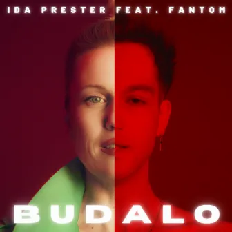 Budalo by Ida Prester