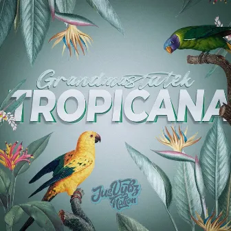 Tropicana by GRANDMASTATEK