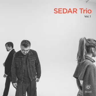 SEDAR Trio - Vol. 1 by 秦四風