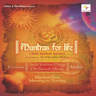 Mantras for Life by Pt. Vidya Dhar Mishra