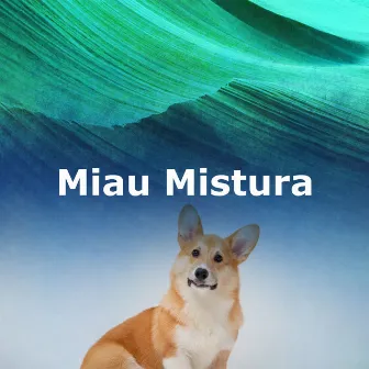 Miau Mistura by Música instrumental para perros