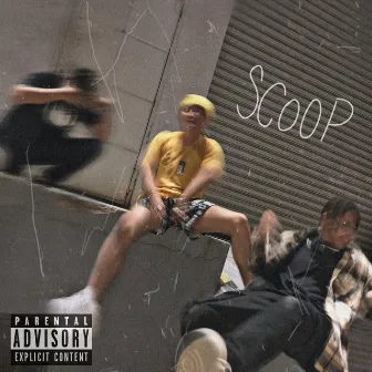 Scoop by Frann G