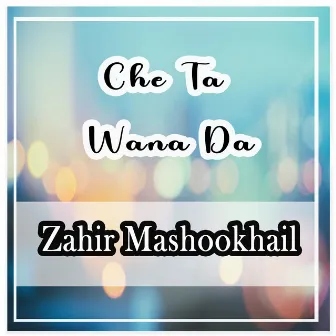 Che Ta Wana Da by Zahir Mashookhail