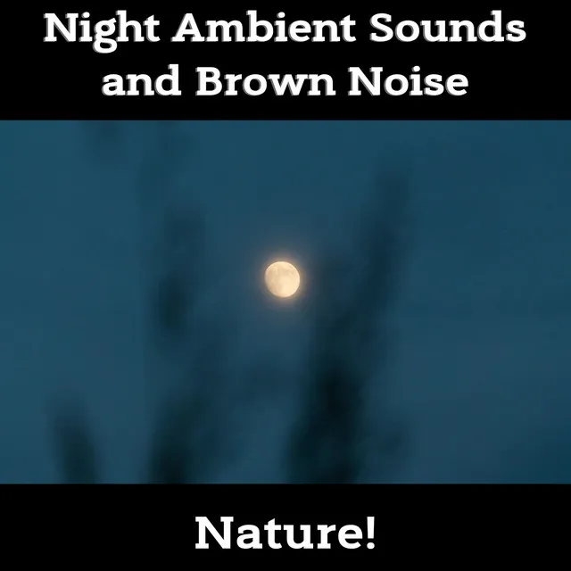 Night Ambient Sounds and Brown Noise, Loopable