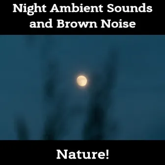 Night Ambient Sounds and Brown Noise, Loopable by Nature!