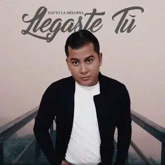 Llegaste Tu by Davys La Melodia