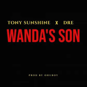 Wanda's Son by Tony Sunshine