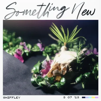 Something New by Shiffley