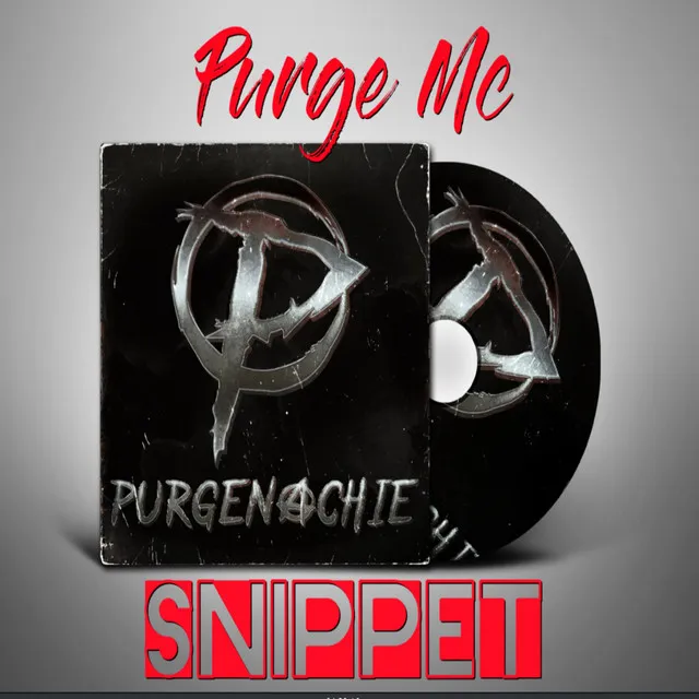 Purgenachie Snippet