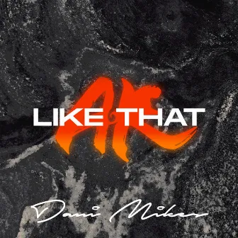 Like That by Dani Mikes