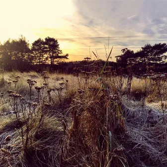 Leave Me Breathless by Ane Brun