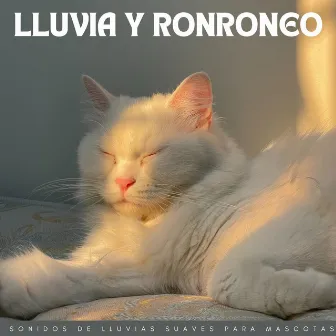 Lluvia Y Ronroneo: Sonidos De Lluvias Suaves Para Mascotas by Academia de Música