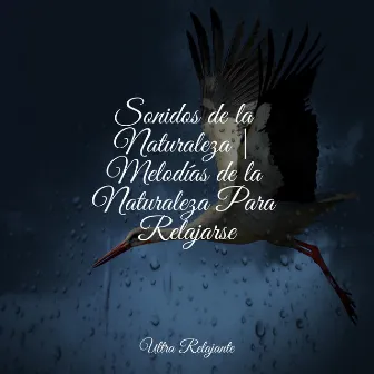 Sonidos de la Naturaleza | Melodías de la Naturaleza Para Relajarse by Musica Para Dormir Profundamente