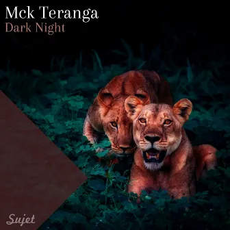 Dark Night by Mck Teranga