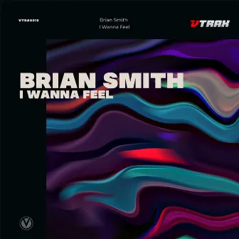 I Wanna Feel by Brian Smith