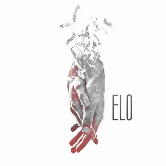 Elo by Verte