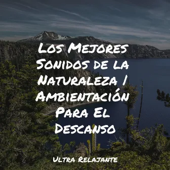 Los Mejores Sonidos de la Naturaleza | Ambientación Para El Descanso by Escola de Meditação