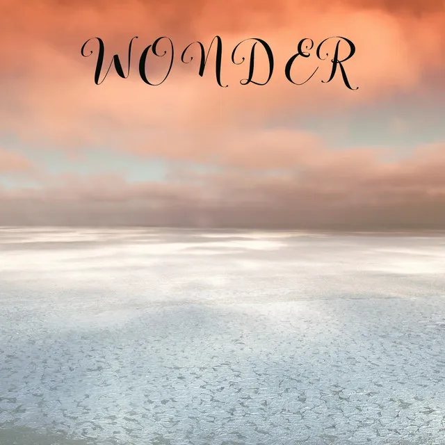 Wonder