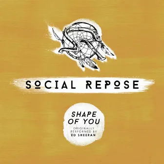 Shape of You (Acapella) by Social Repose