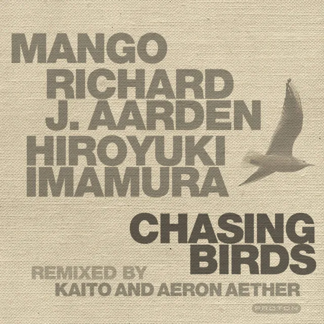 Chasing Birds - Aeron Aether Version