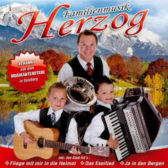 Ja in den Bergen by Familienmusik Herzog