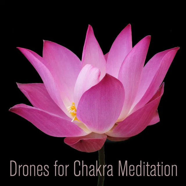 Drone For Crown Chakra Meditation - B Minor