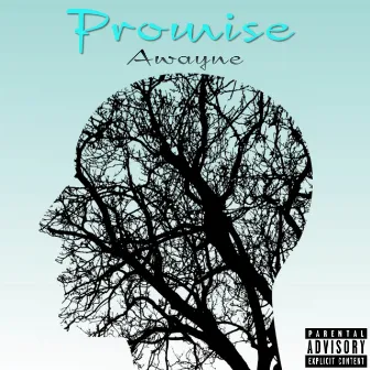 Promise by Awayne