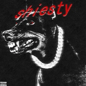 shiesty by Darcy