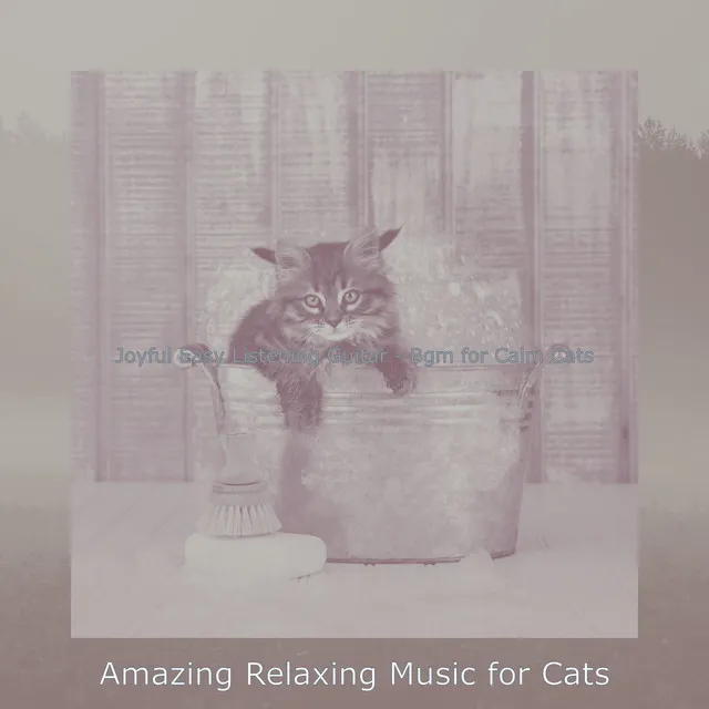 Joyful Easy Listening Guitar - Bgm for Calm Cats