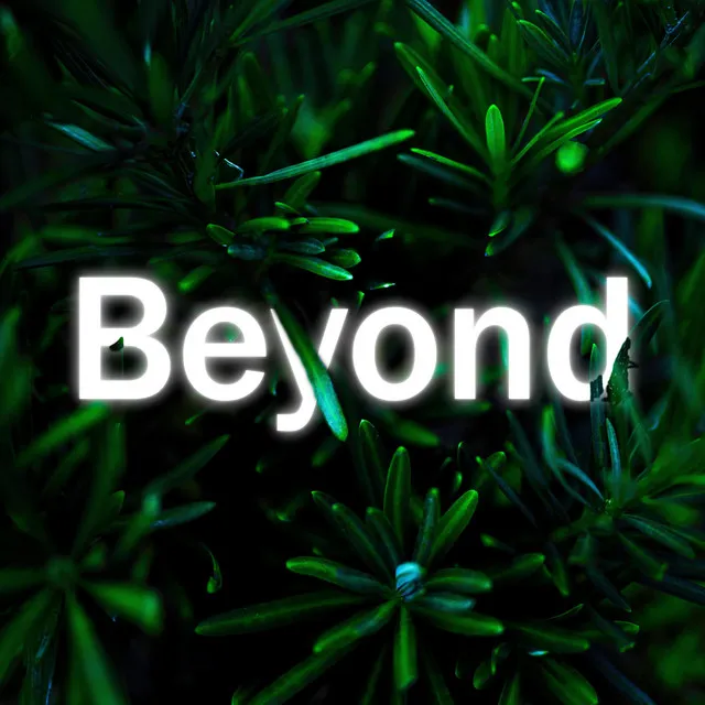 Beyond