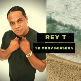 So Many Reasons by Rey T.