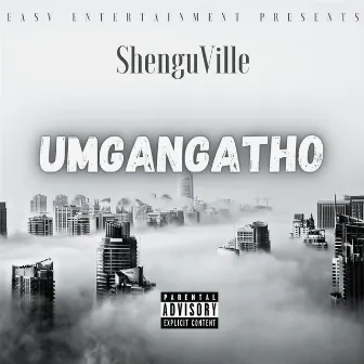 Umgangatho by Shenguville