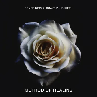 Method Of Healing by Renee Dion