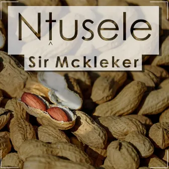 Ntusele by Sir McKleker