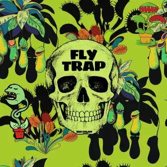 Fly Trap (revisited) by Isis Salam