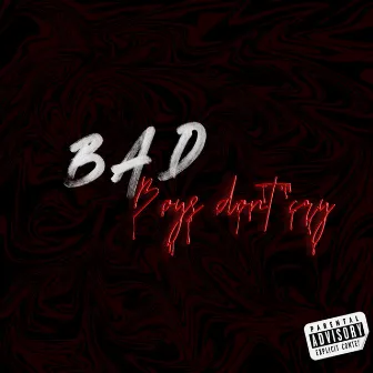 Bad Boys Don't Cry by Punner