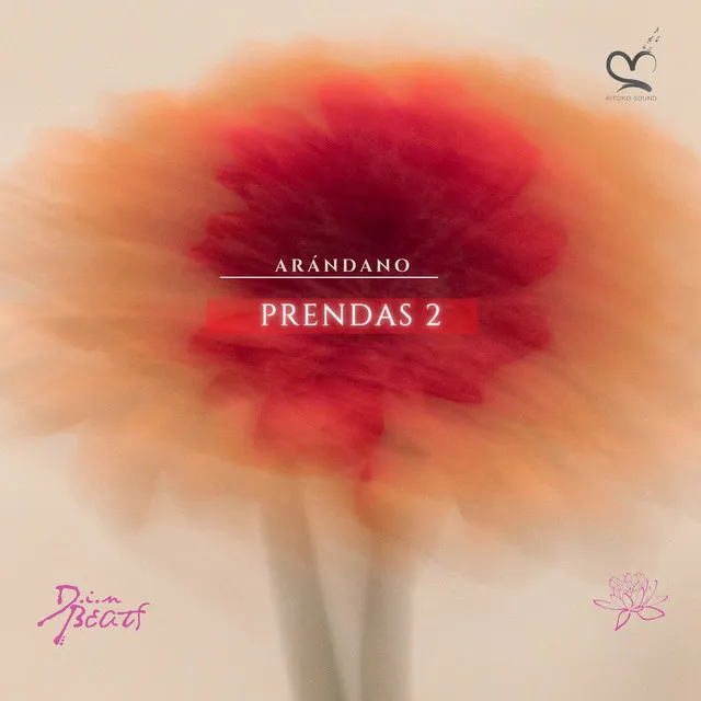 Prendas 2