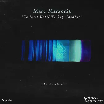 To Love Until We Say Goodbye. The Remixes by Marc Marzenit