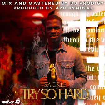 Try so Hard by Sackie