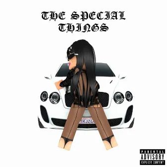 The Special Things by Ms Pospos