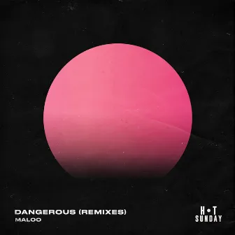 Dangerous (Remixes) by Maloo