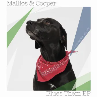 Blues Them EP by Mallios & Cooper