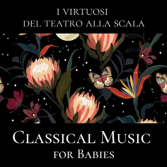 Classical Music for Babies, Vivaldi: Il Gardellino - Mozart: Kindersinfonie (Live Recording) by Marco Zoni