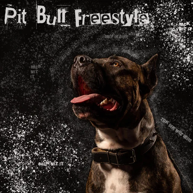 Pit Bull Freestyle