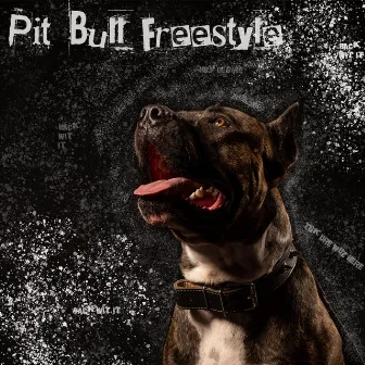 Pit Bull Freestyle by TGK Dre