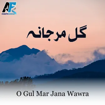 O Gul Mar Jana Wawra by AF Pashto Sandari