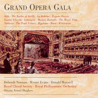 Grand Opera Gala by Owain Arwel Hughes