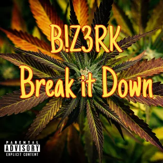 Break It Down by B!Z3RK